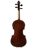 Violina 1 Uspravna Pozadina